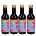 GRANVERO® Bio INGWER-SHOT Traube-schwarze Johannisbeere, 4 x 250 ml