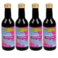 Bild 1 von GRANVERO® Bio INGWER-SHOT Traube-Aronia, 4 x 250 ml